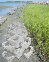 Oyster castles provide substrate for artificial reefs that reduce wave effects onshore.
